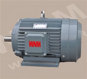 YE3 Series Super-High Efficiency Three Phase Induction Motors