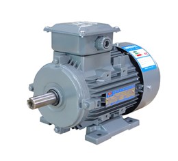 YXL Series High Efficiency Aluminum Frame Three Phase Induction Motors