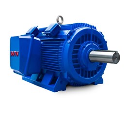 Crusher Duty Motors