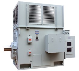 YR High Voltage Three-Phase Induction Motors