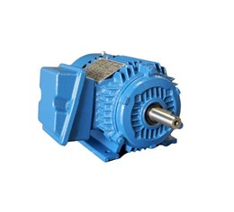 NEP Series Premium Efficient NEMA motor