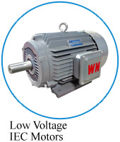 Low Voltage IEC Motors