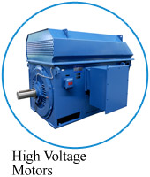 High Voltage Motors