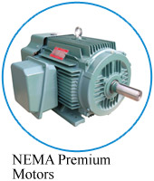 NEMA Premium motor